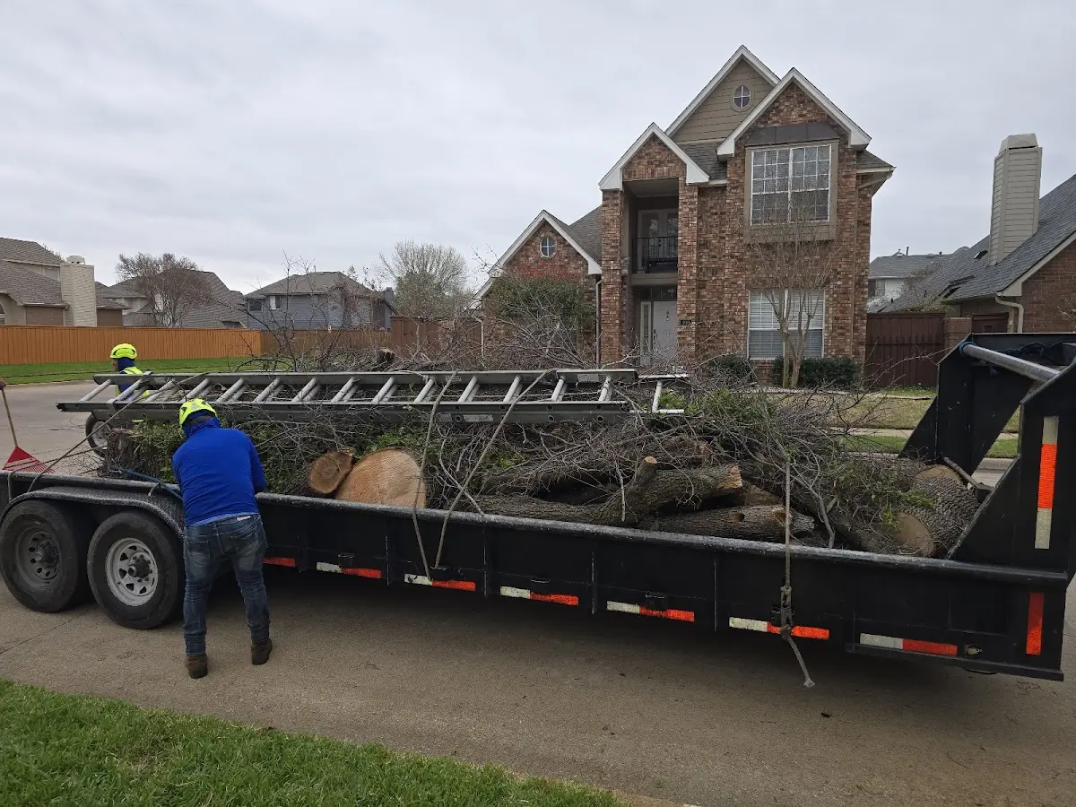 Expert Tree Fertilization with proper safety equipment in Black Rock